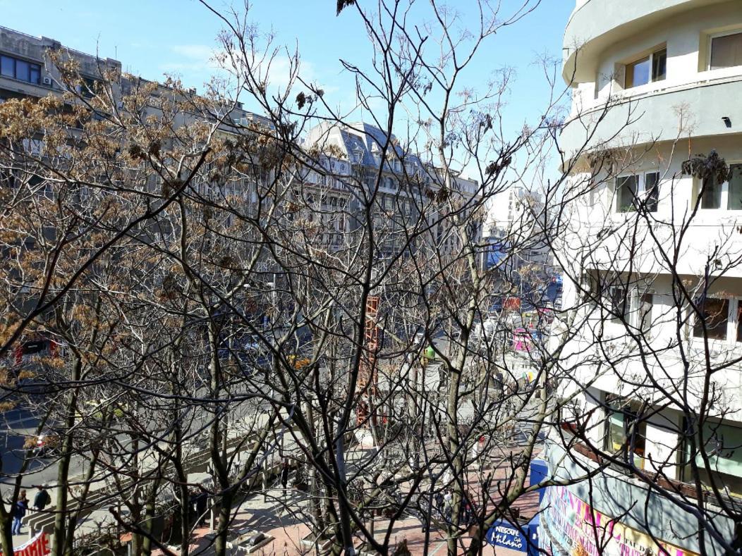 Elite - Center * Bucureşti